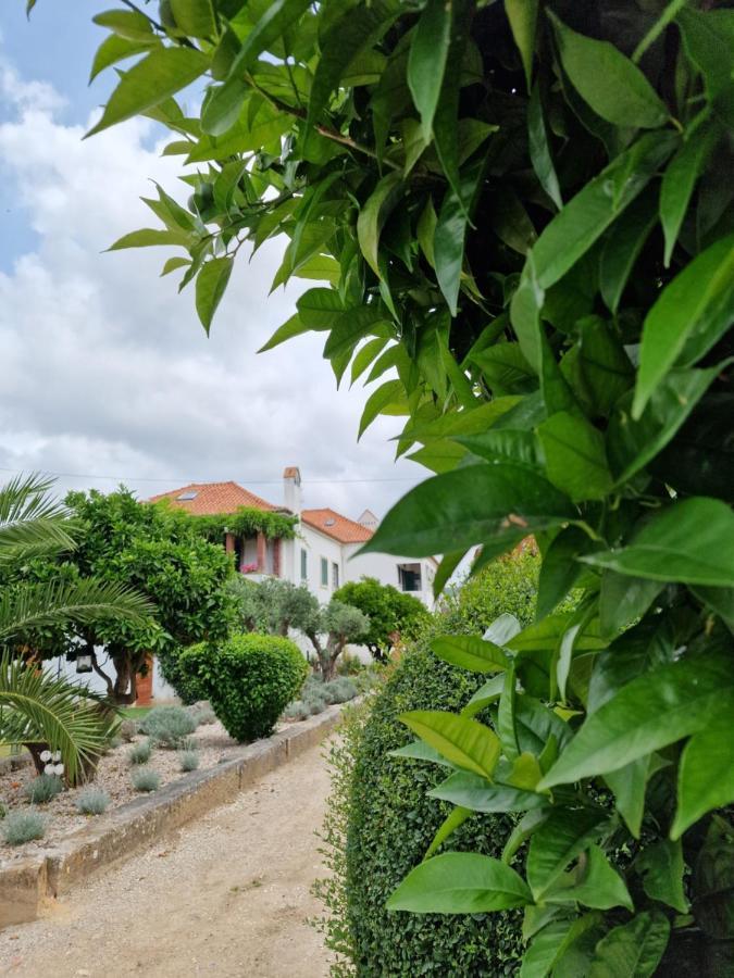 Casa Nikana تورسيفال المظهر الخارجي الصورة